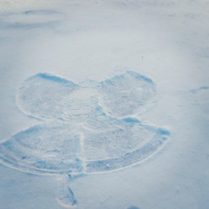 snow angel