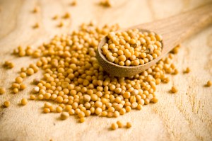 Mustard seed Image