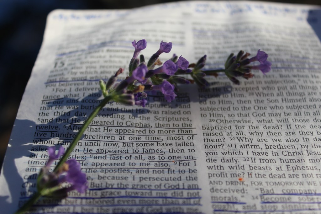 Love Notes From The&nbsp;King