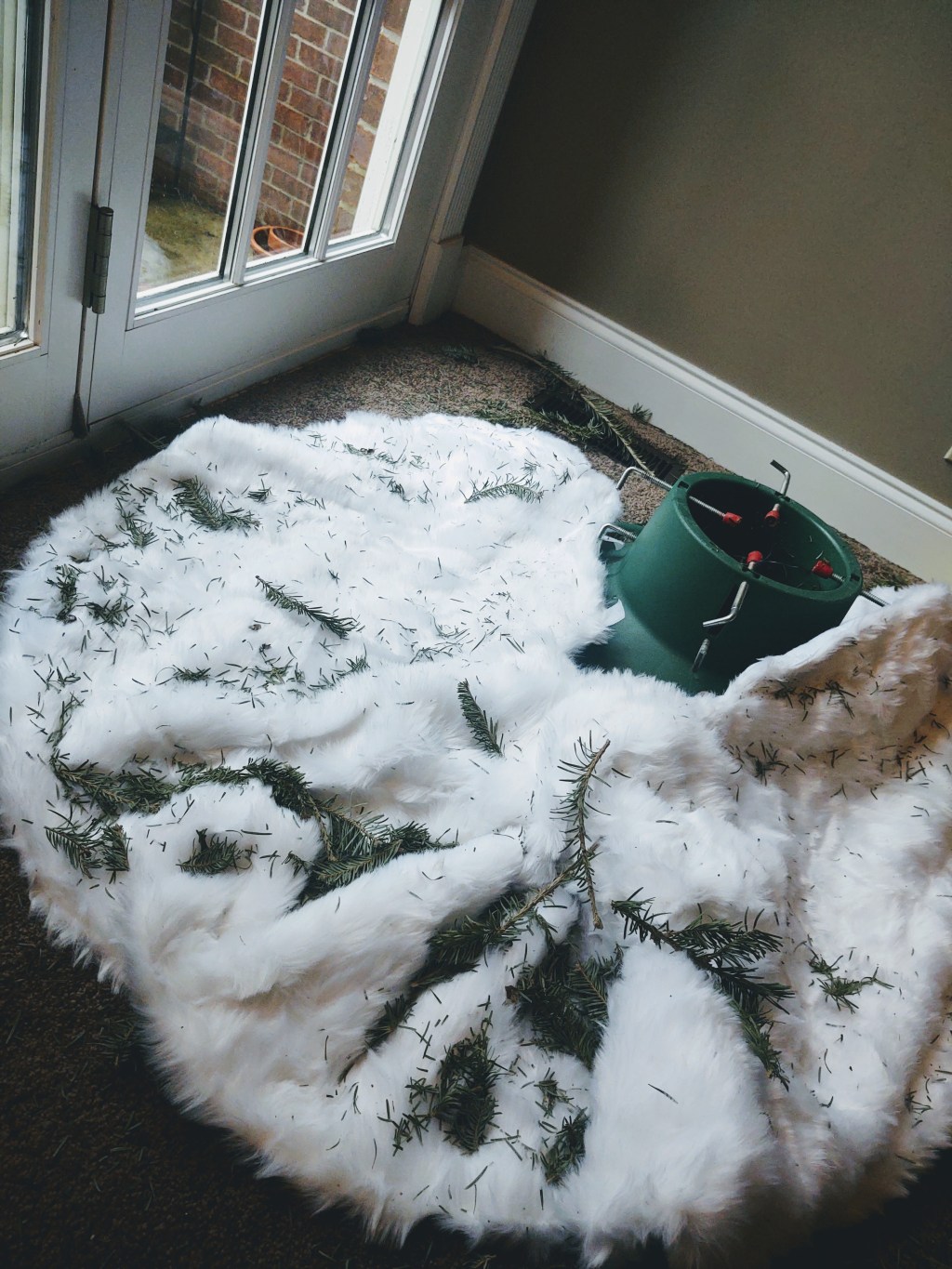 What I learned from my dead Christmas&nbsp;tree…