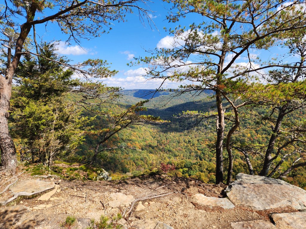 The Wrestling Before the Praise