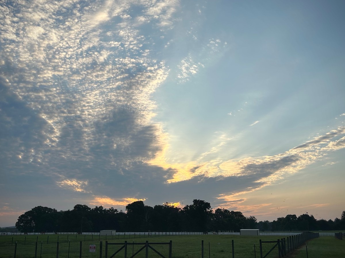 Meditations from Psalm 139: Psalm 139:1-Fully&nbsp;Known