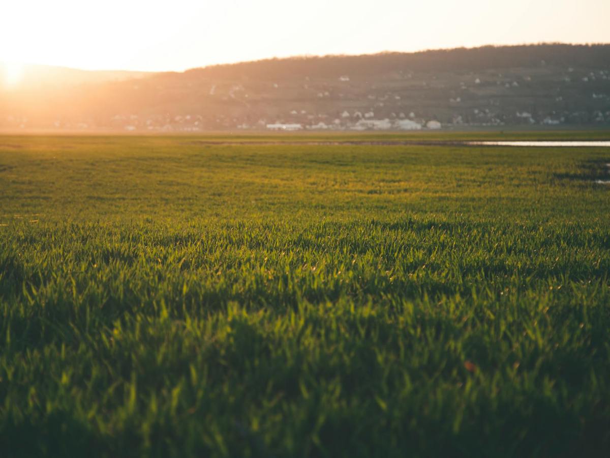 Walking with the Shepherd: A Journey through Psalm&nbsp;23