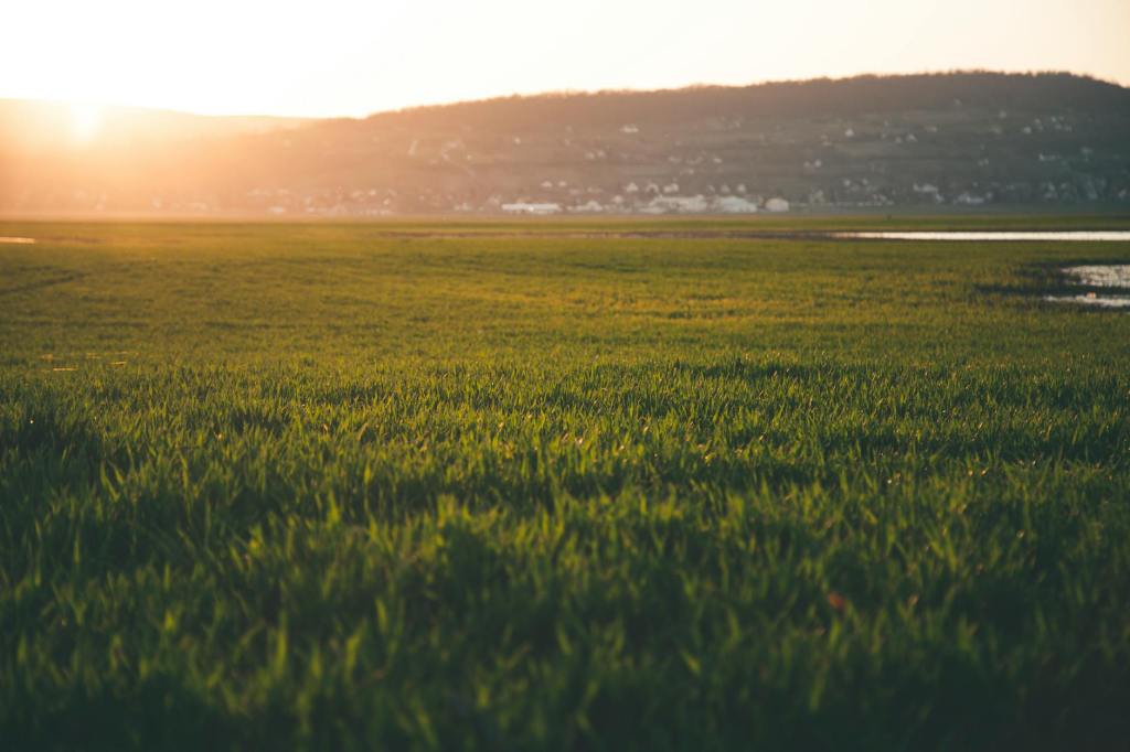 Walking with the Shepherd: A Journey through Psalm&nbsp;23